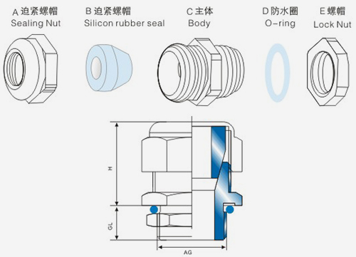 今晚正版四不像图