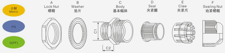 今晚正版四不像图