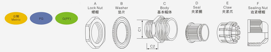 今晚正版四不像图