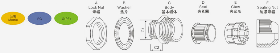 今晚正版四不像图