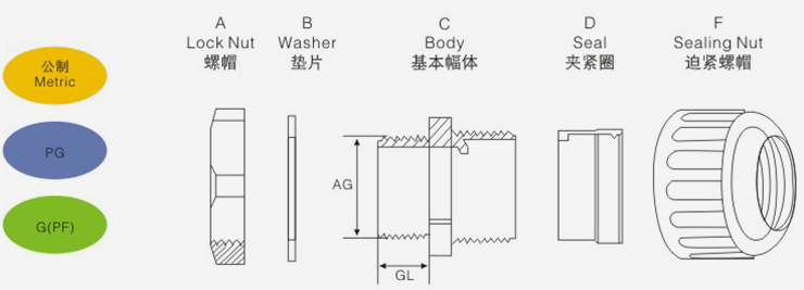 今晚正版四不像图